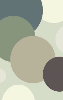 שטיח פיקסו דה וינצי 4054/65