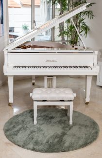 שטיח מיקרו שאגי עגול - ירוק