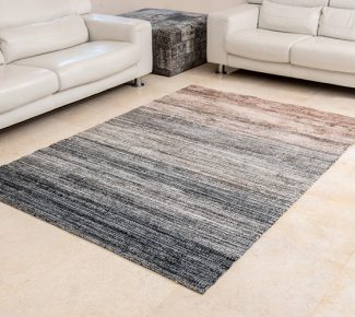 שטיח מיקרו סופטנס 9538-V403