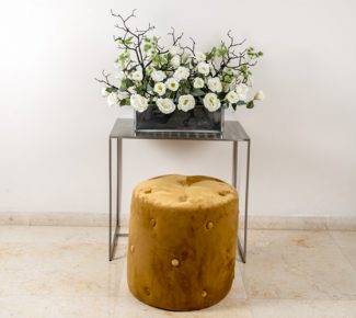 הדום קטיפה כפתורים זהב