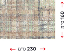 שטיח גודל 160 ס